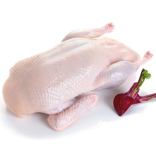 Volailles et BBQ Bio : Canard de barbarie ±2,3kg 
