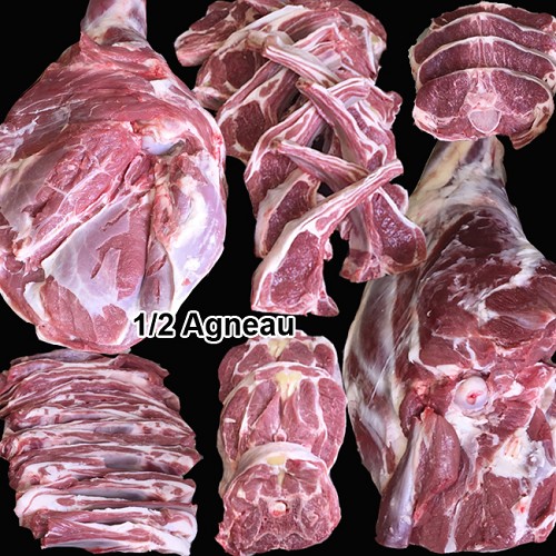 Demi Agneau 