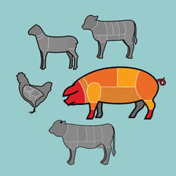 La viande de porc & BBQ 100% bio
