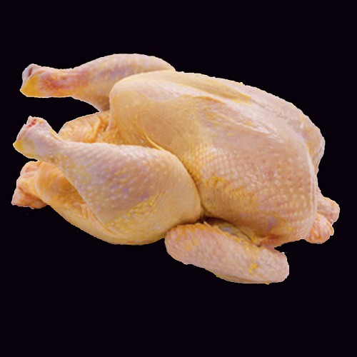 Poulet jaune Bio, nourri au maïs  1,5kg