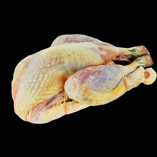 Pintade fermière Bio 1,4kg 