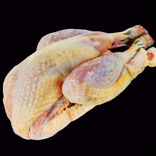 Pintade 1,5kg