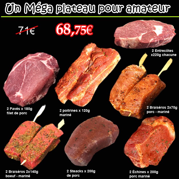 Megabriel - Pour les amateurs de bonne cuisine la Plancha