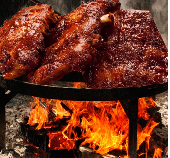 RIBS