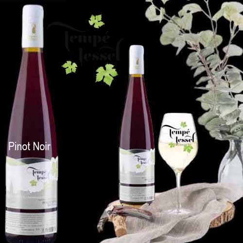 Vins : Pinot Noir AOC seul cépage rouge autorisé en Alsace