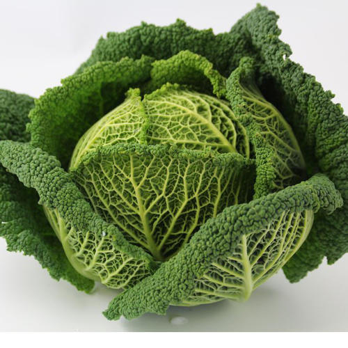 Fruits et Légumes : 1 Chou vert frisé ± 1kg