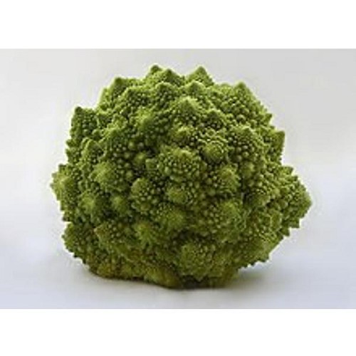 Chou Romanesco