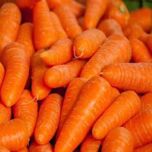 Fruits et Légumes : Carottes régional