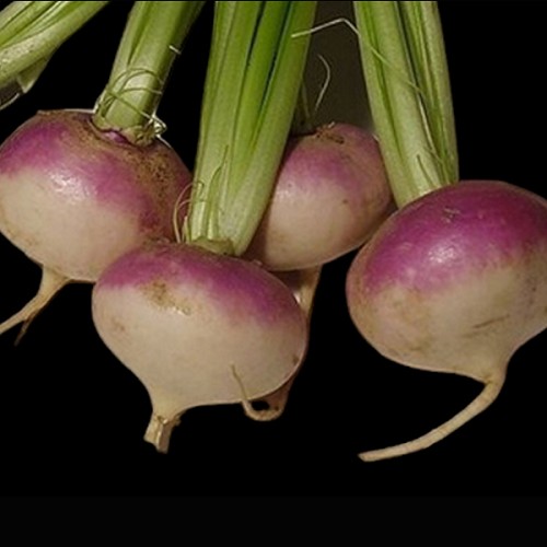 Navets  1kg