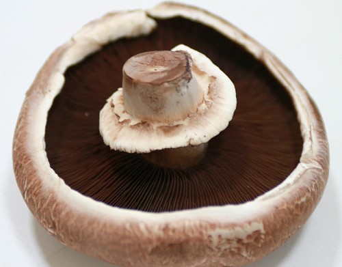 Champignons Portobello à farcir <b>+ 1 Recette</b>