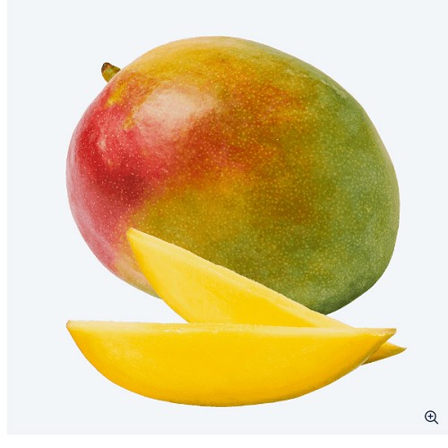 Mangue