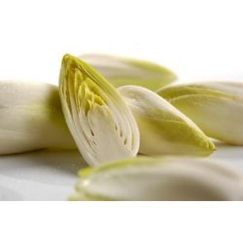 Endives 500g 2 pièces