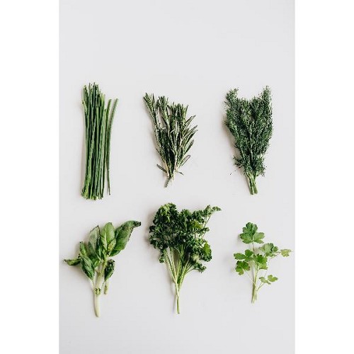 Mélange Fines herbes pour salade