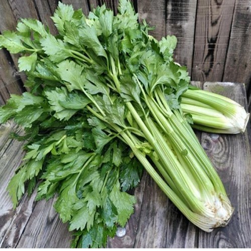 Céleri branche
