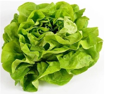 Salade du moment