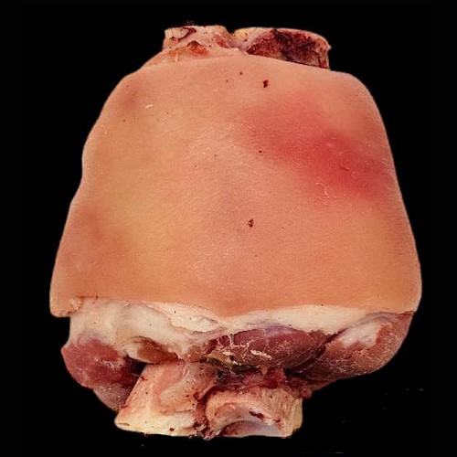 Sélection charcutière : jarret de porc précuit  500g