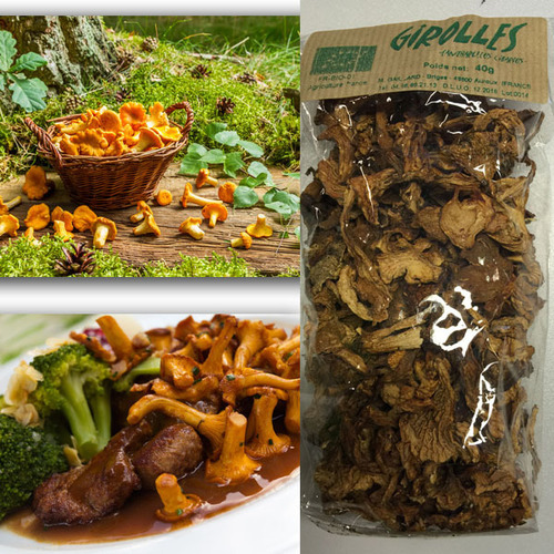 Girolles séchées