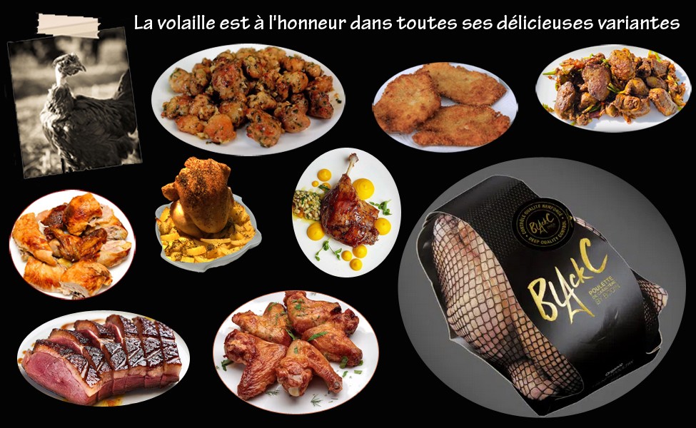 action volaille