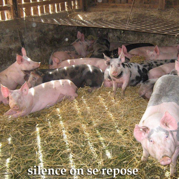 La Ferme du Bio, nos coups de coeur