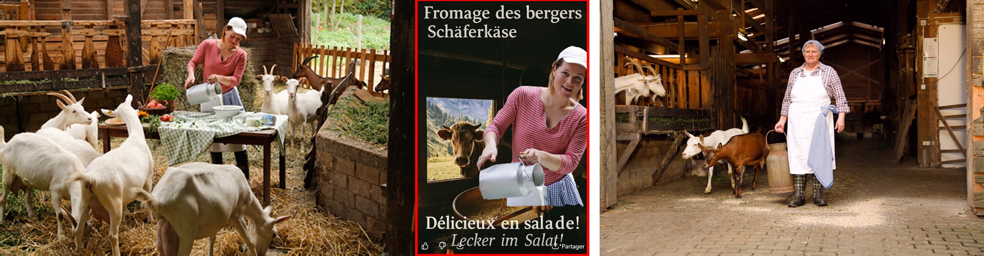 La Ferme du Bio : viande, charcuterie, épicerie et produits bio
