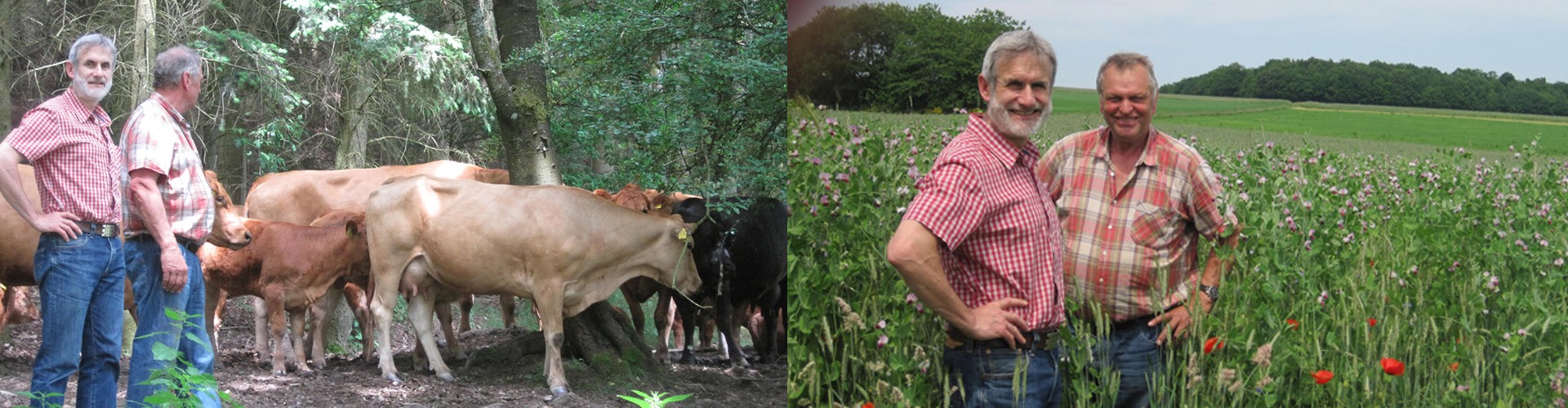 La Ferme du Bio : viande, charcuterie, épicerie et produits bio