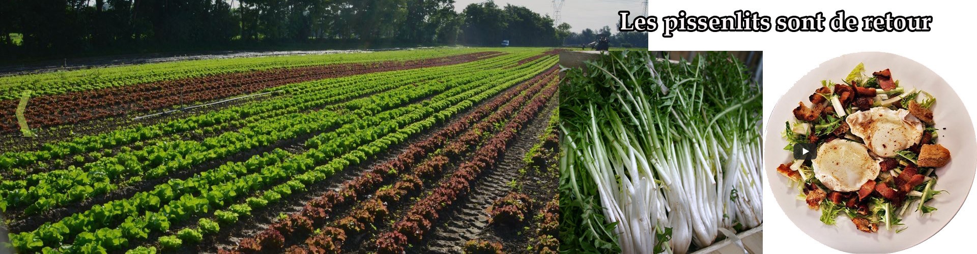 La Ferme du Bio : viande, charcuterie, épicerie et produits bio