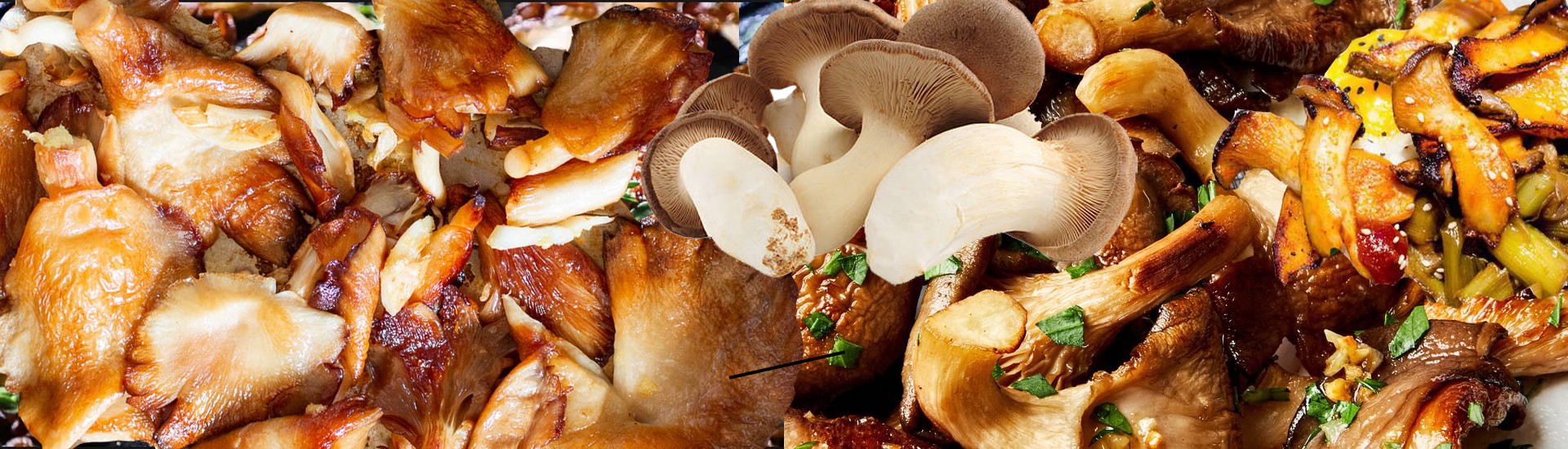 La Ferme du Bio : viande, charcuterie, épicerie et produits bio